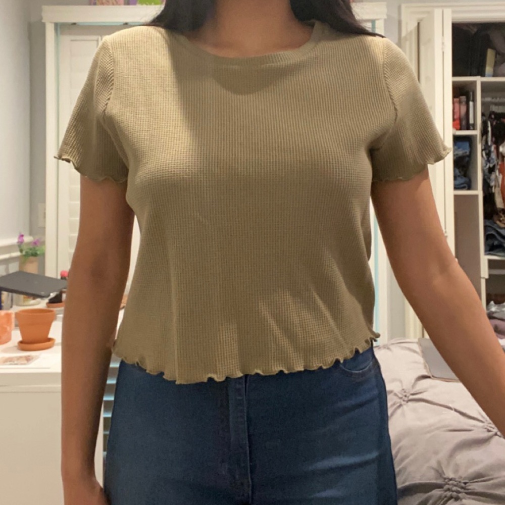 Green lettuce top
